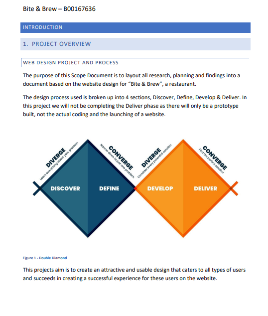 A page from the scope document explaining the project and the Double Diamond process